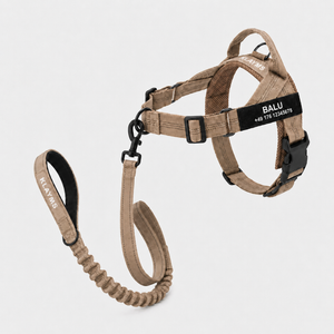 KLAYMS WalkPro – Personalisiertes Anti-Zug Hundegeschirr mit Bungee-Leine