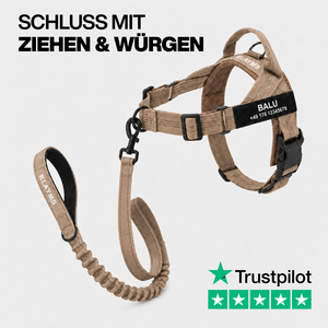 KLAYMS WalkPro – Personalisiertes Anti-Zug Bundle