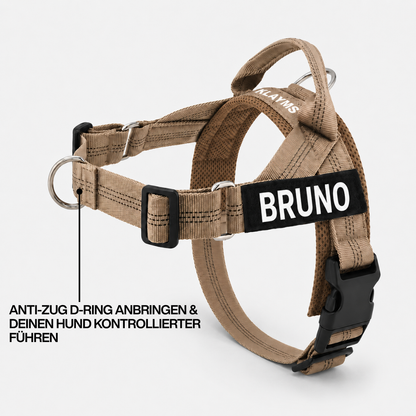 KLAYMS WalkPro – Personalisiertes Anti-Zug Bundle