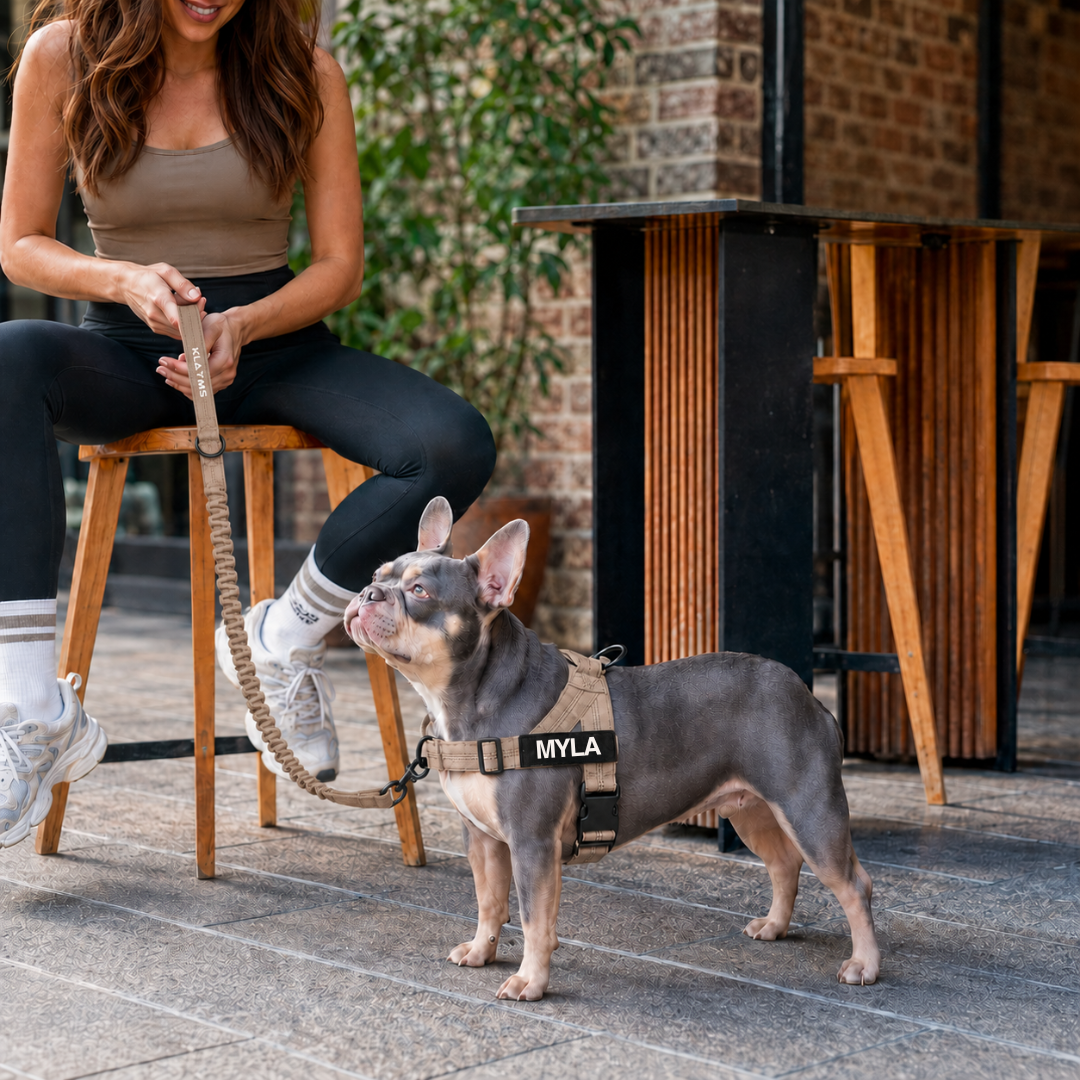 KLAYMS WalkPro – Personalisiertes Anti-Zug Hundegeschirr mit Bungee-Leine