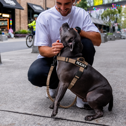 KLAYMS WalkPro – Personalisiertes Anti-Zug Hundegeschirr mit Bungee-Leine