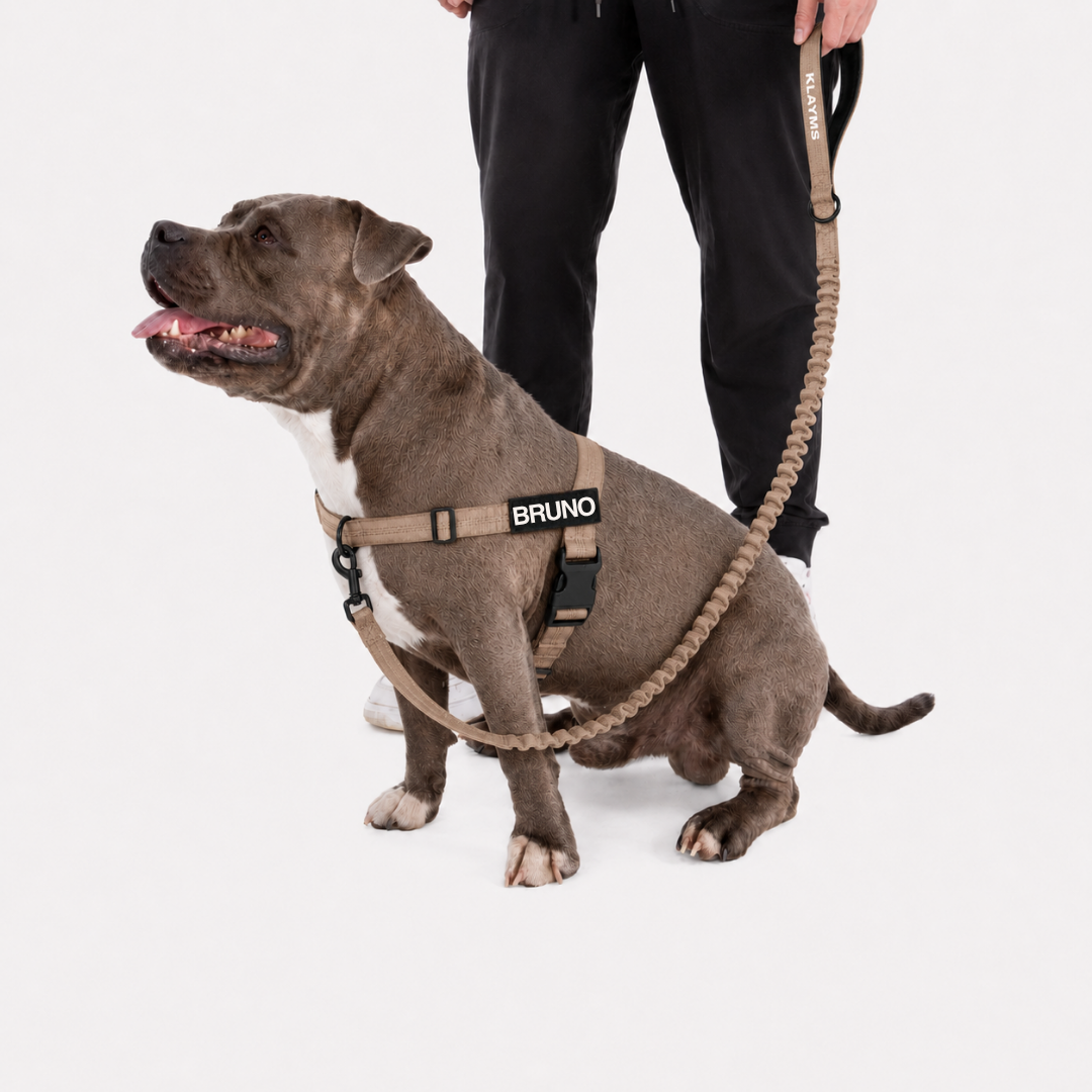KLAYMS WalkPro – Personalisiertes Anti-Zug Hundegeschirr mit Bungee-Leine