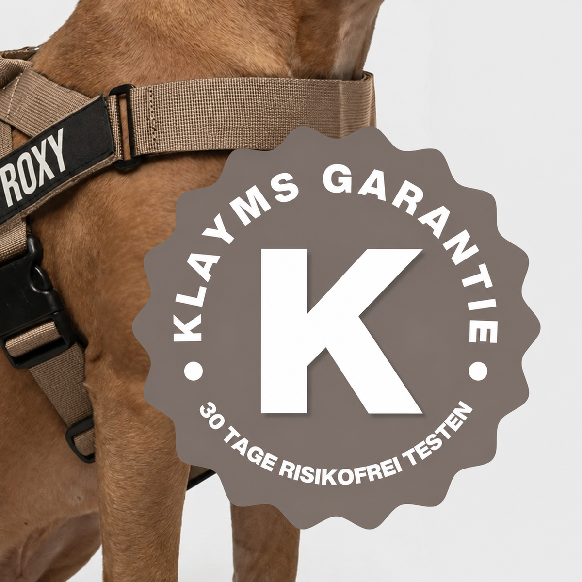 KLAYMS WalkPro – Personalisiertes Anti-Zug Bundle