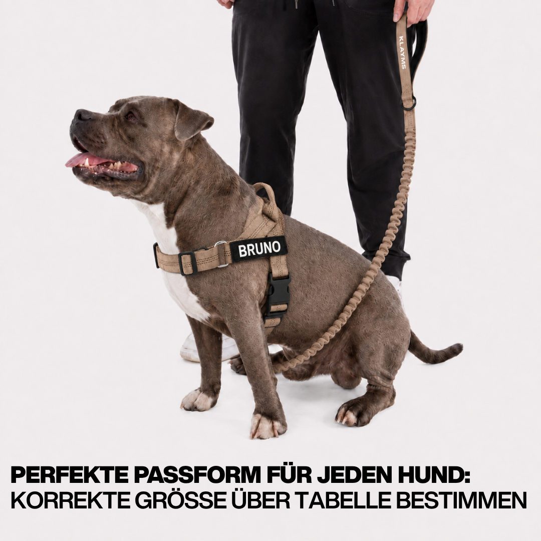 KLAYMS WalkPro – Personalisiertes Anti-Zug Bundle