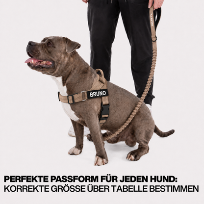 KLAYMS WalkPro – Personalisiertes Anti-Zug Bundle