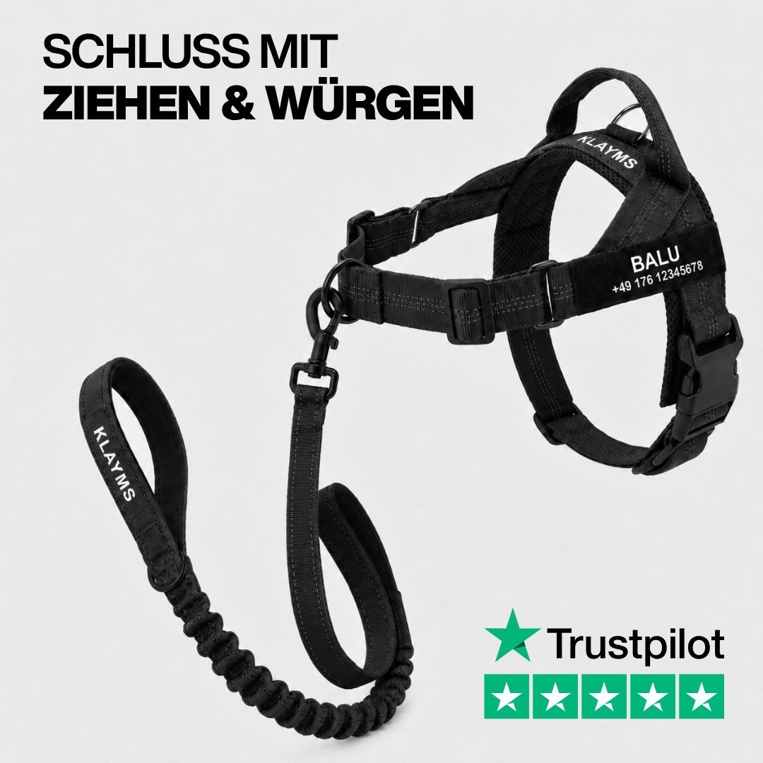 KLAYMS WalkPro – Personalisiertes Anti-Zug Bundle