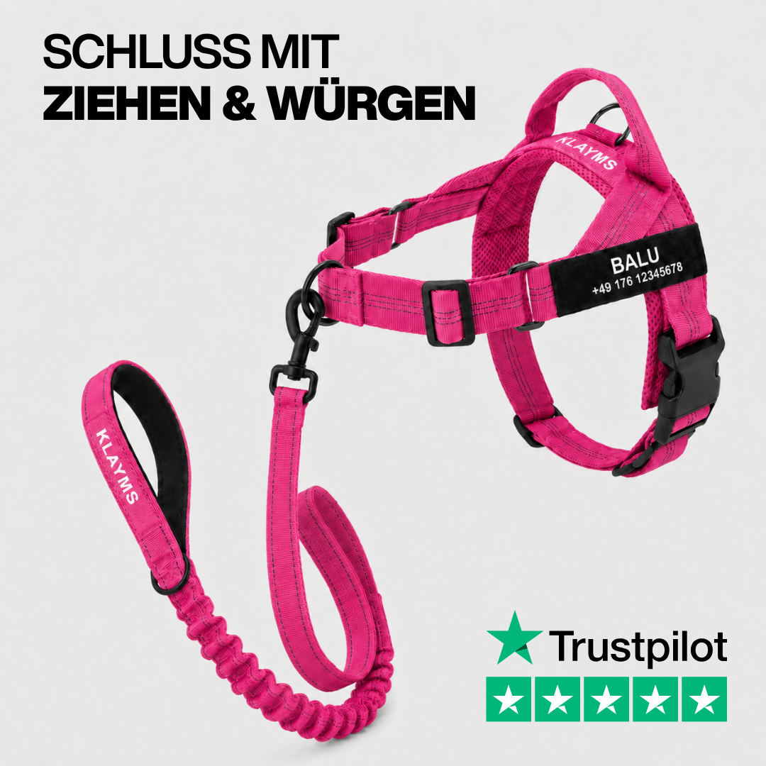 KLAYMS WalkPro – Personalisiertes Anti-Zug Bundle