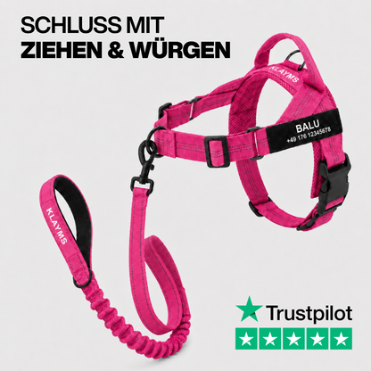 KLAYMS WalkPro – Personalisiertes Anti-Zug Bundle